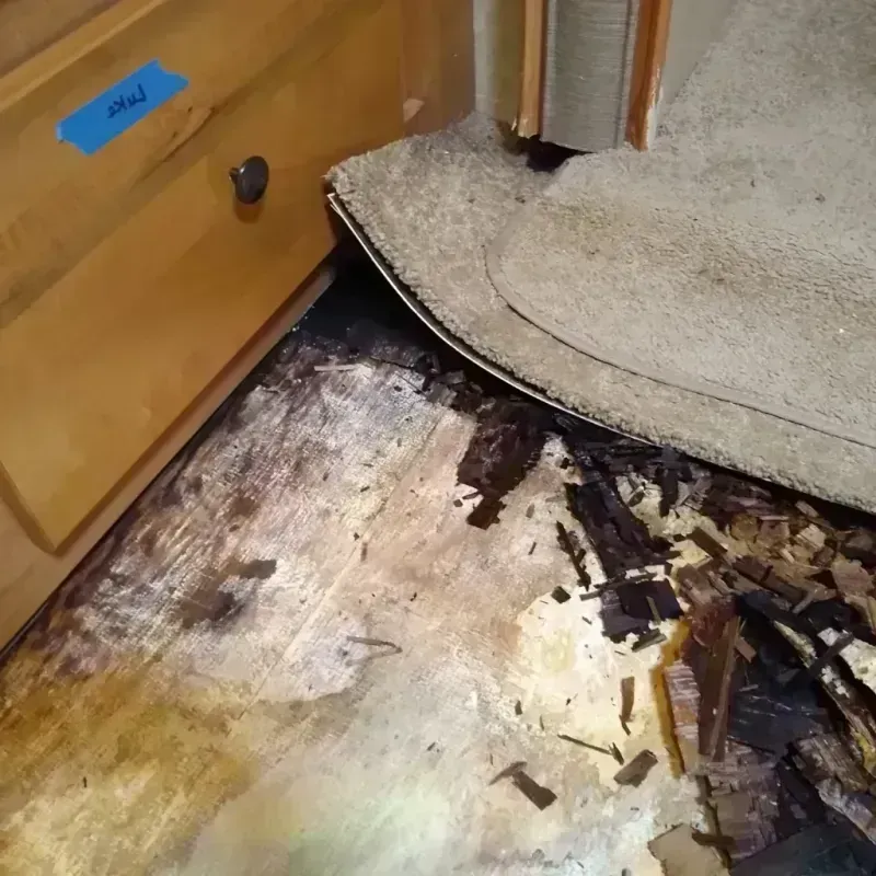 Wood Floor Water Damage in Silver Lake, FL